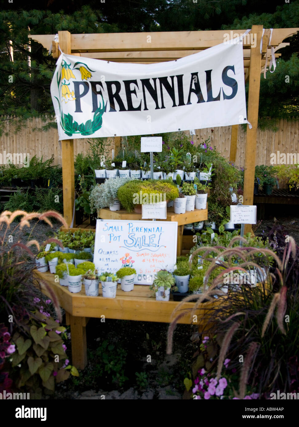 Perennials for sale at a farm stand Stock Photo