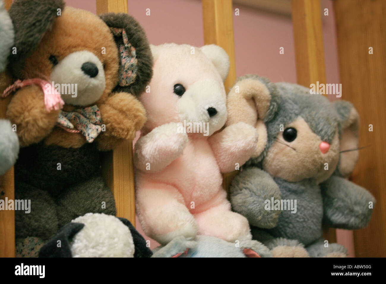childrens cuddly toys