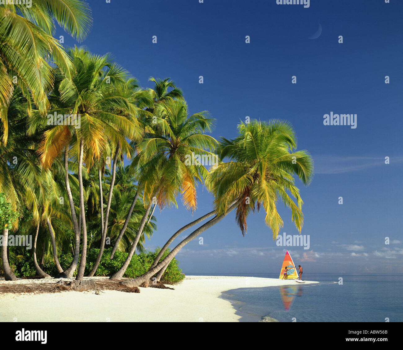 MV - MALDIVE ISLANDS: Beach along the Indian Ocean Stock Photo