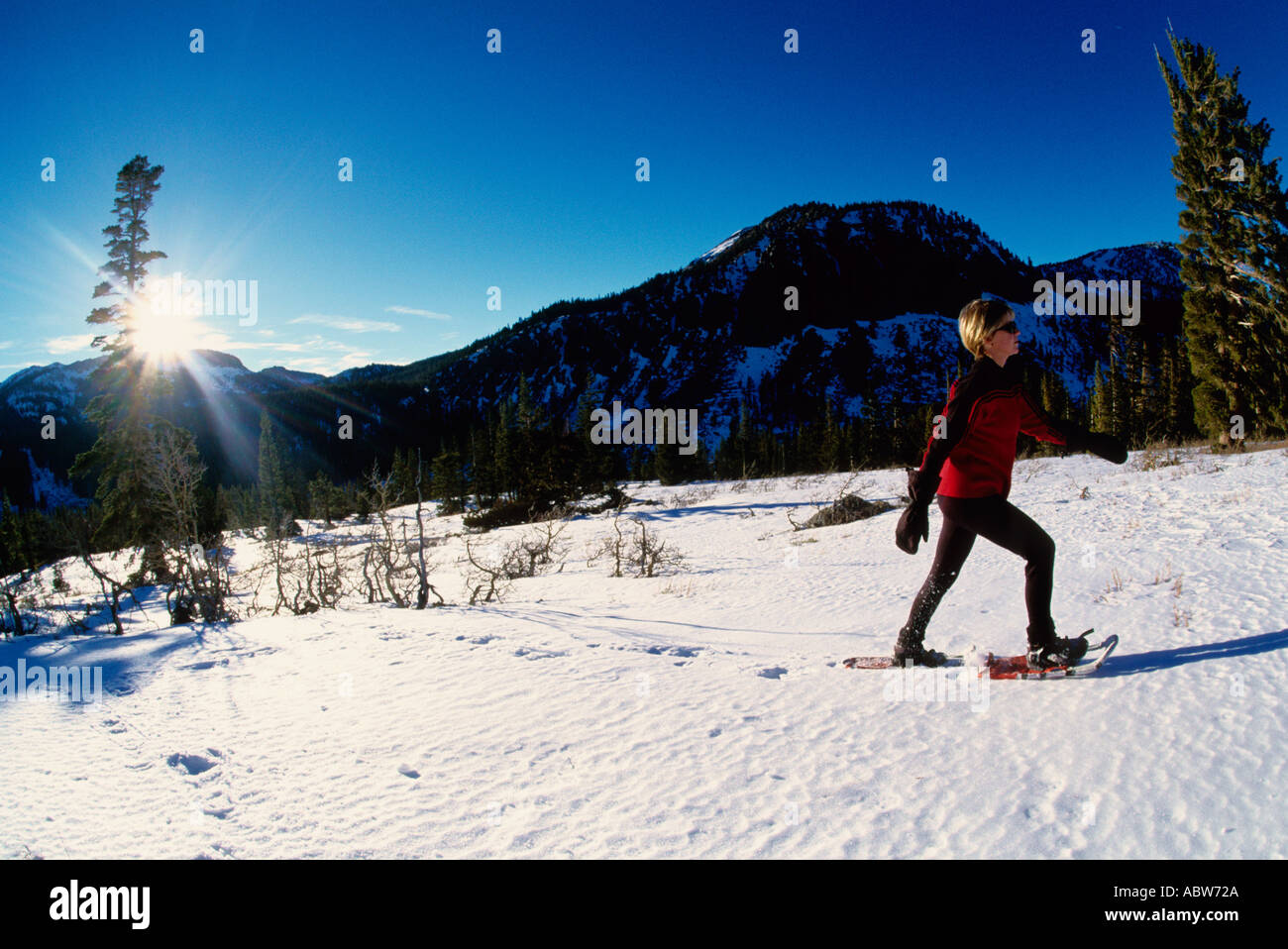 Snowshoeing mammoth lakes hires stock photography and images Alamy