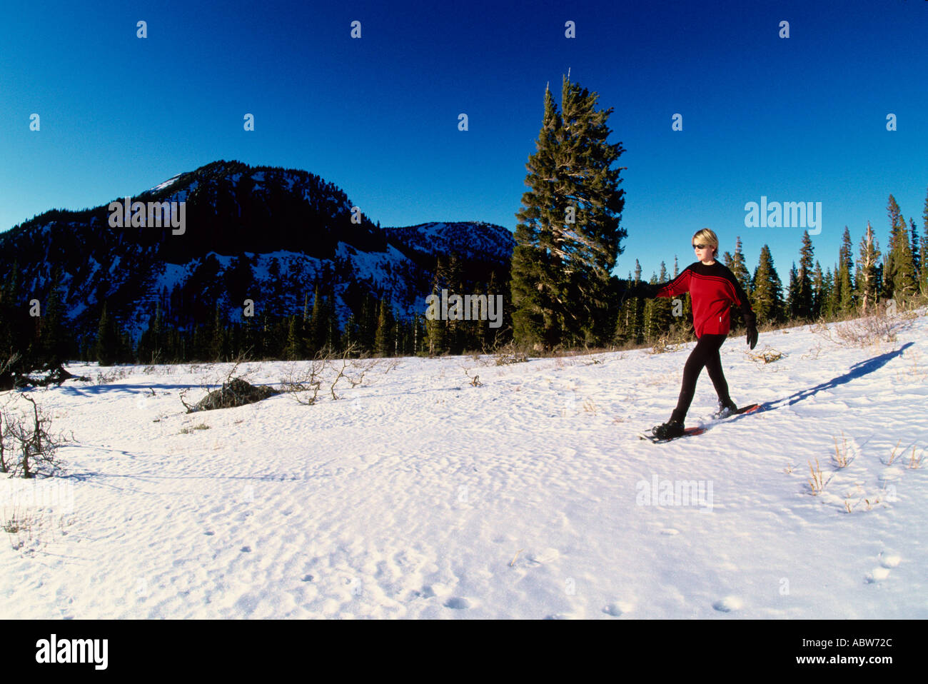 Snowshoeing mammoth lakes hires stock photography and images Alamy