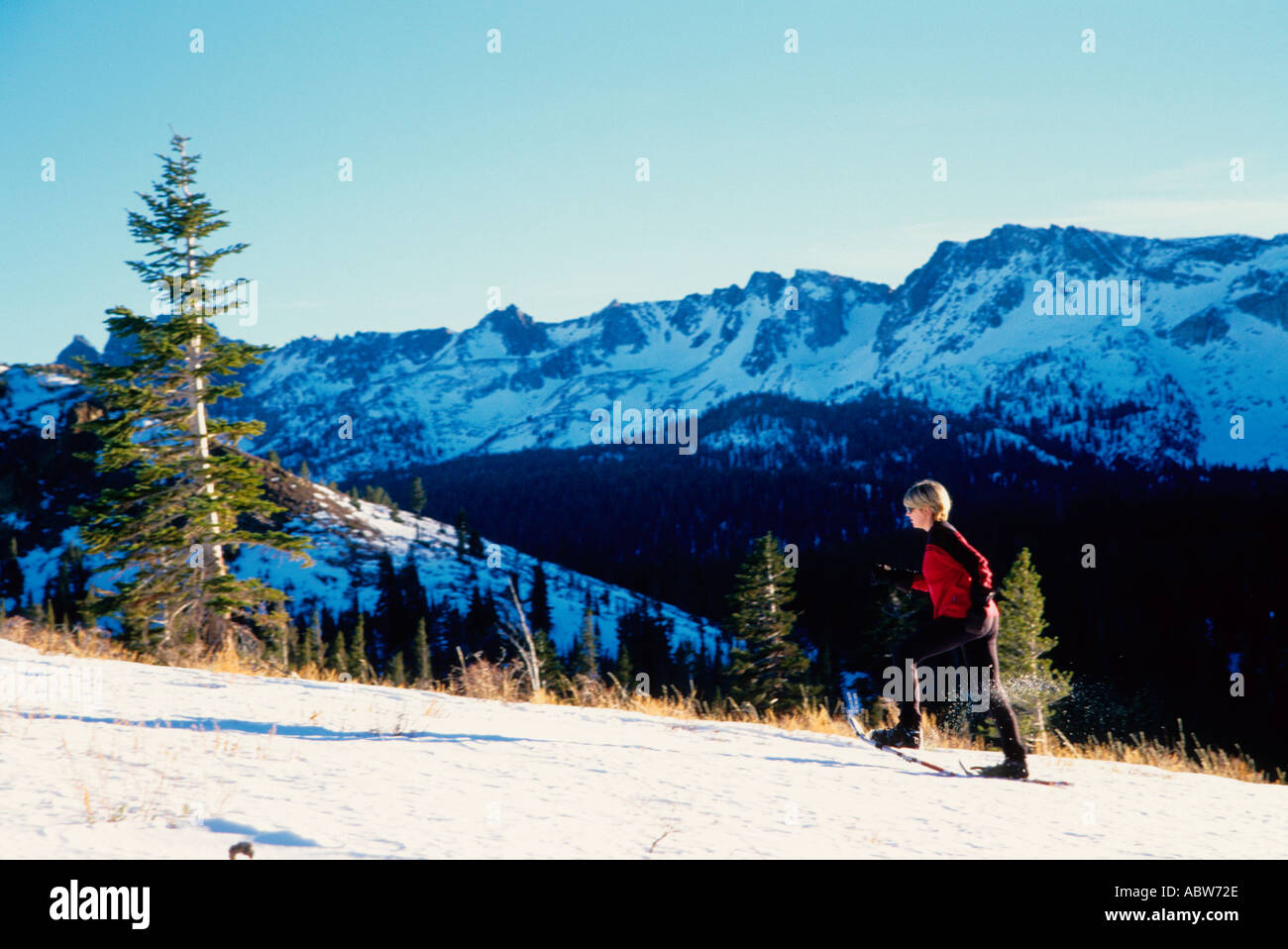 Snowshoeing mammoth lakes hires stock photography and images Alamy