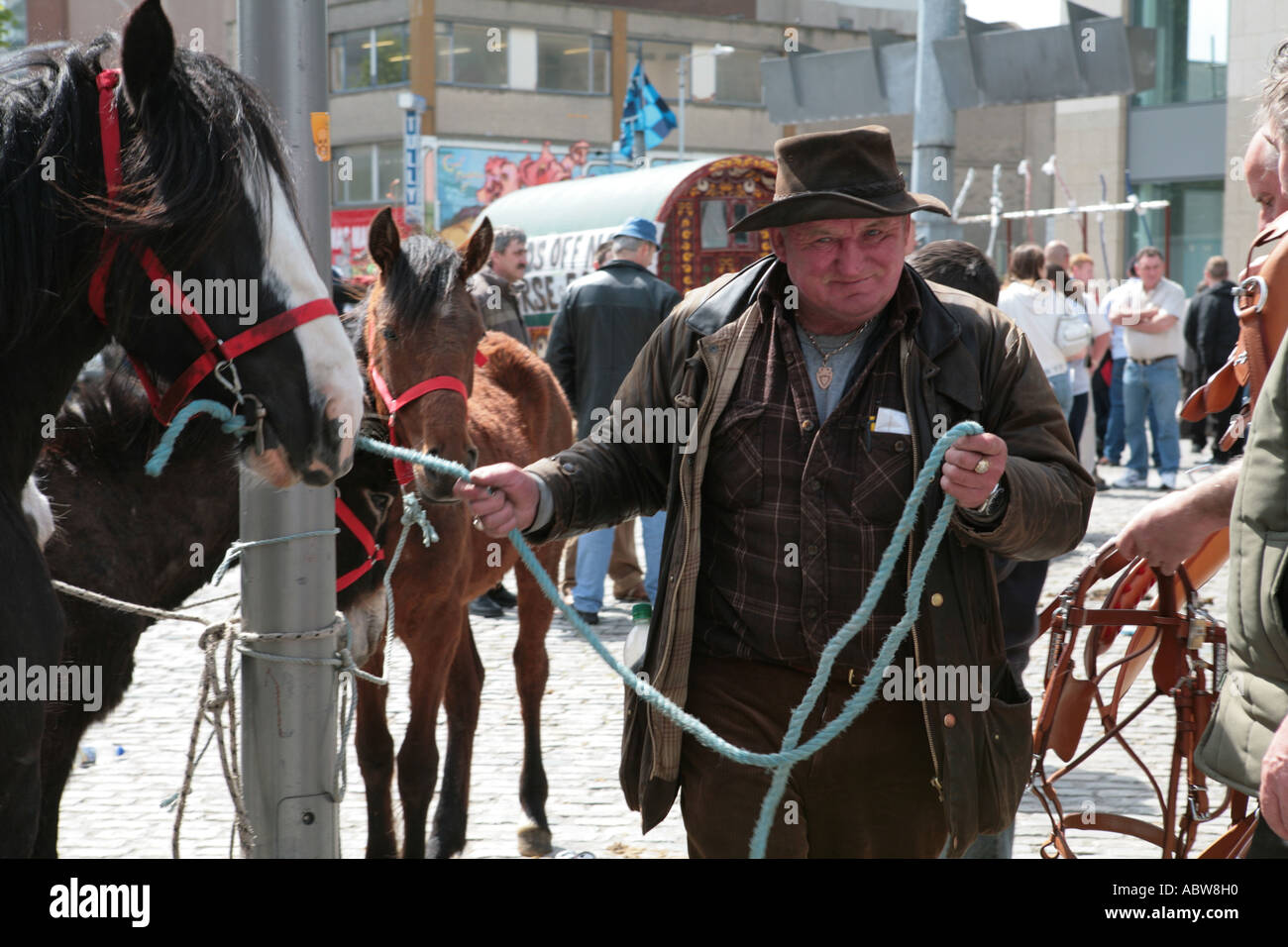 Horse Market Hi res Stock Photography And Images Alamy