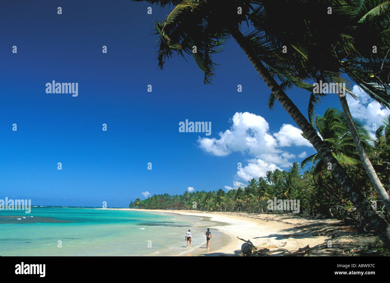 Tropical Beach couple walking in the surfline blue sky long line of palm trees las galeras samana province dominican republic Stock Photo