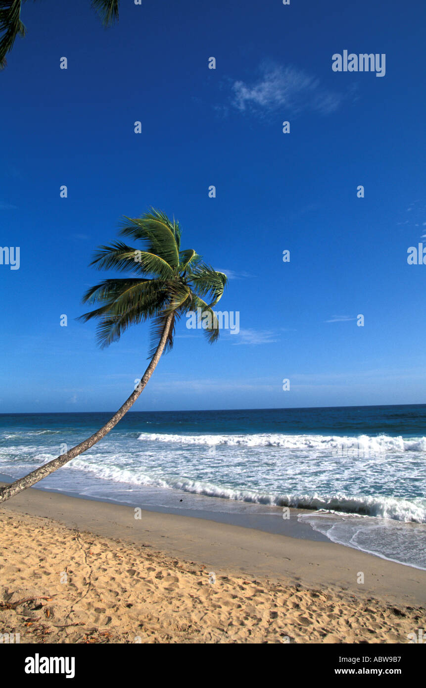 Hanging over water hi-res stock photography and images - Alamy