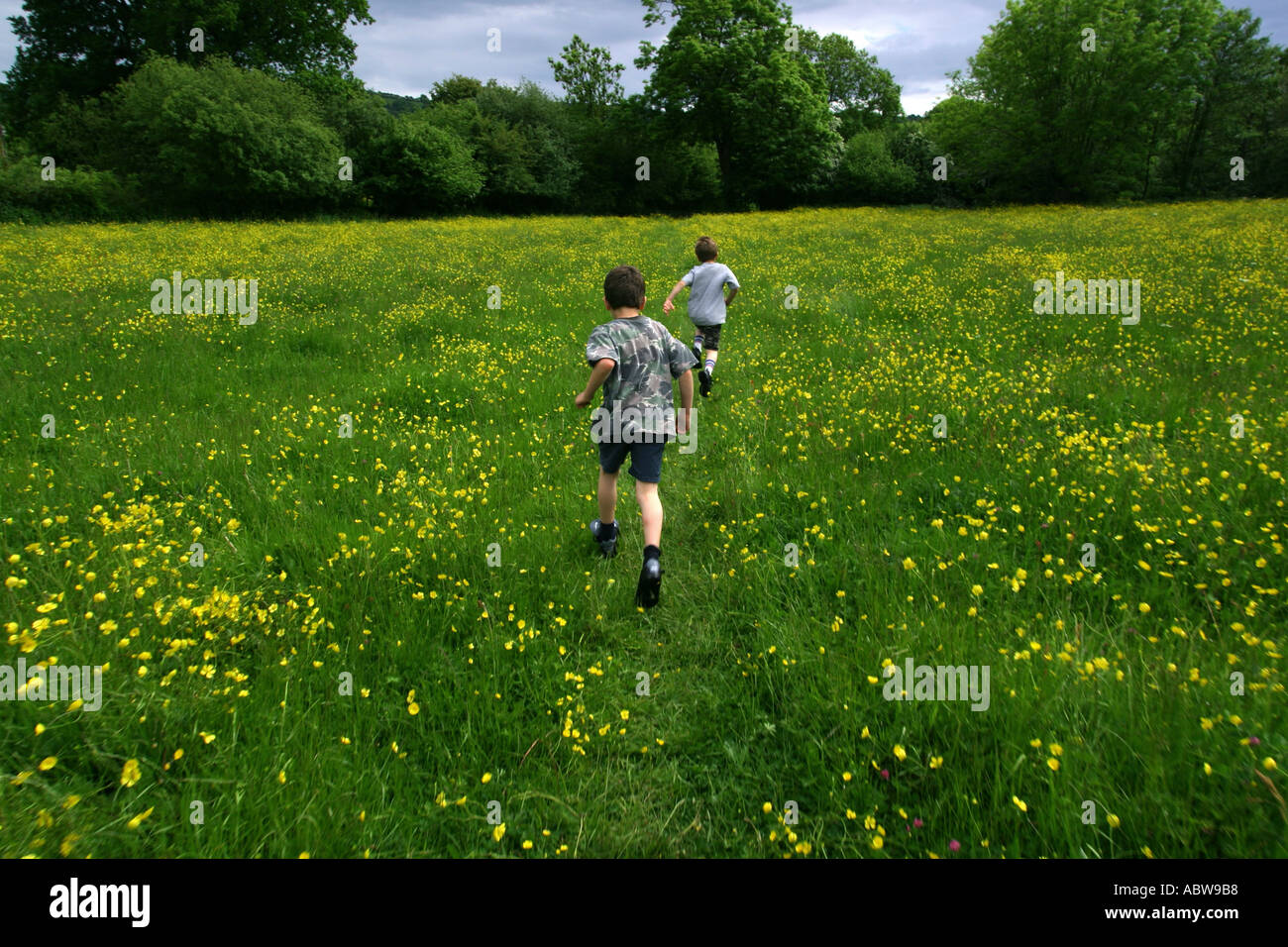Boys running in a field Dorset, UK. Stock Photo