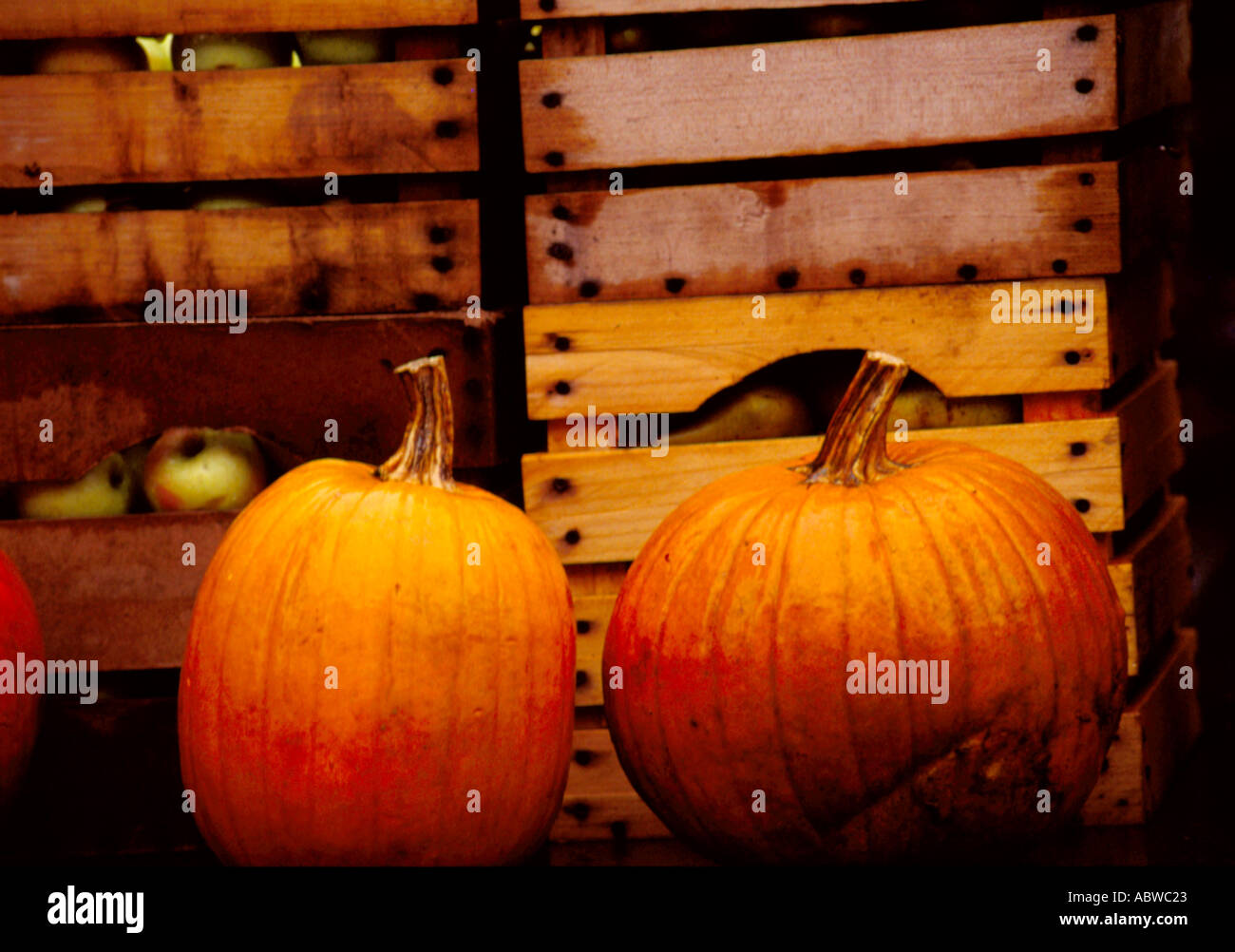 Pumpkins sit in front of crates of apples Stock Photo