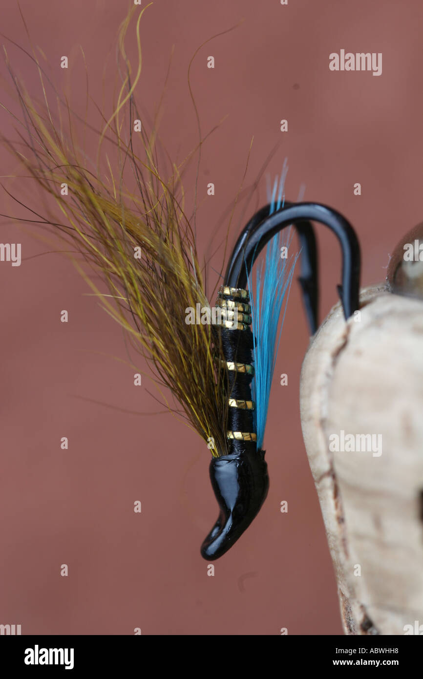 Hairy mary salmon fly hi-res stock photography and images - Alamy