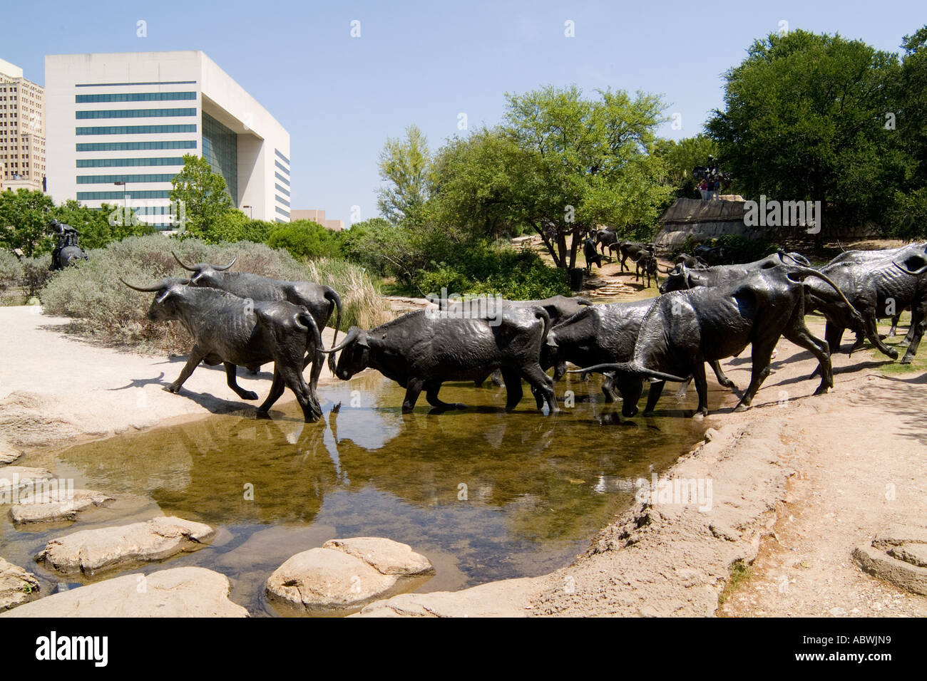 Famous Statues of cattle roundup in downtown Dallas, Texas Stock Photo