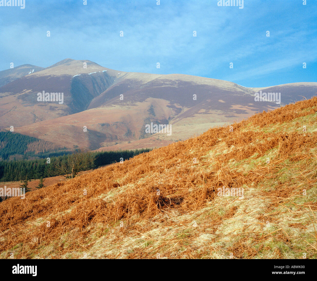 Lake District National Park Cumbria Britain Europe Stock Photo