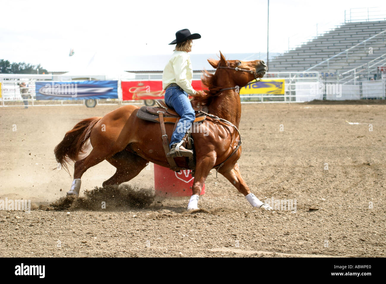 Rodeo Calgary Stampede Alberta Canada Barrel racing horse rider compete ...