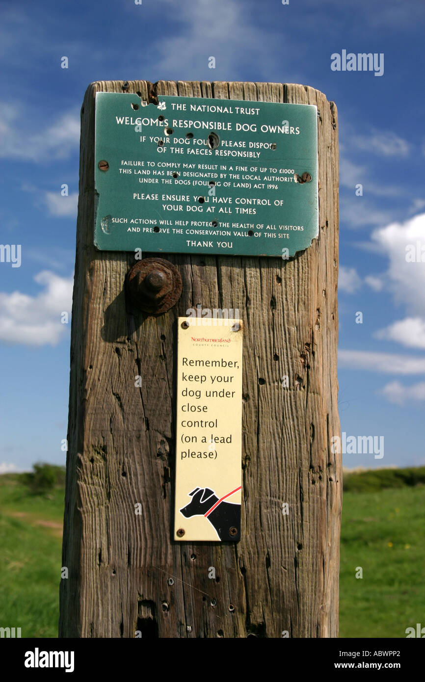 National Trust welcomes responsible dog owners near Druridge Bay Northumberland United Kingdom Stock Photo