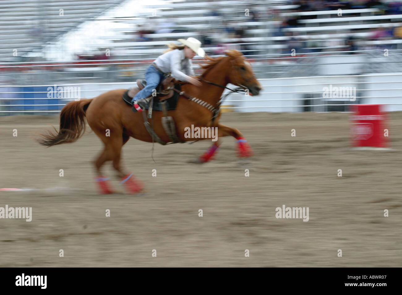 Rodeo Calgary Stampede Alberta Canada Barrel racing horse rider compete
