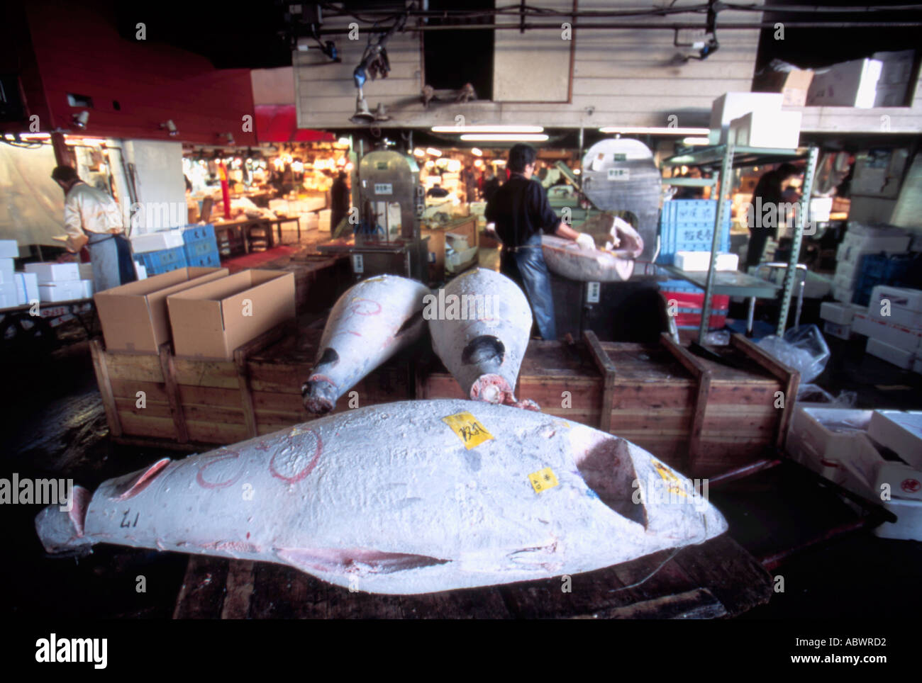 Tsukiji Fish Market Tokyo Japan Stock Photo - Alamy