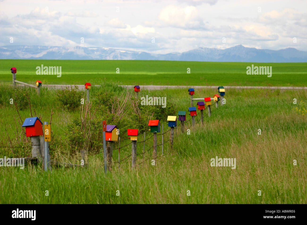 Colourful bird houses mounted on fence posts Stock Photo - Alamy