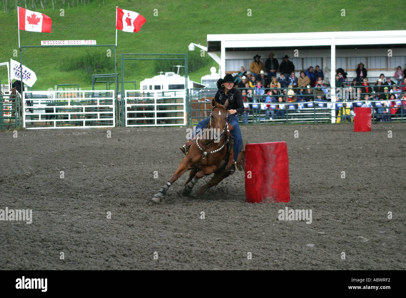 Rodeo Calgary Stampede Alberta Canada Barrel racing horse rider compete