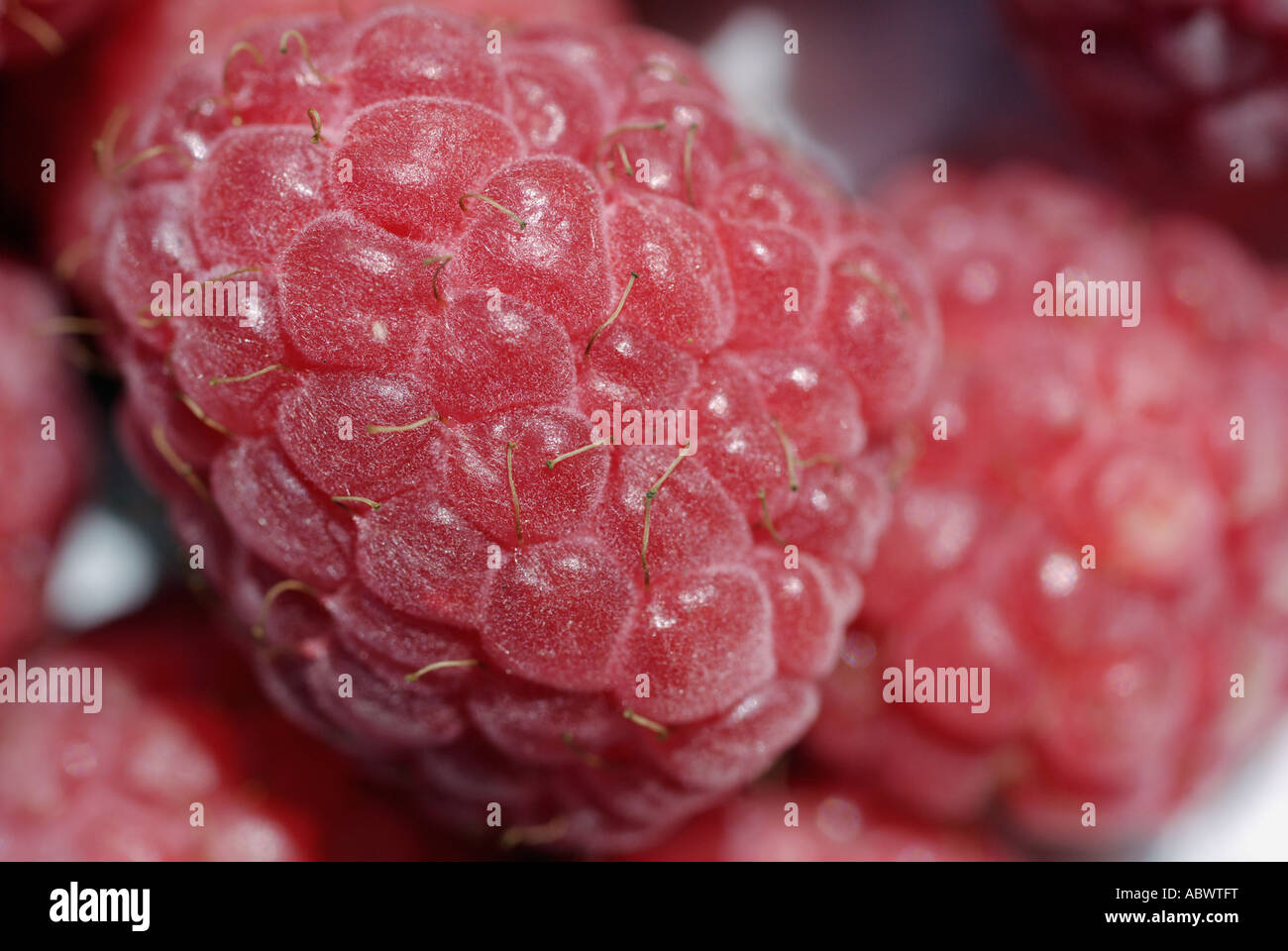Raspberries Stock Photo Alamy