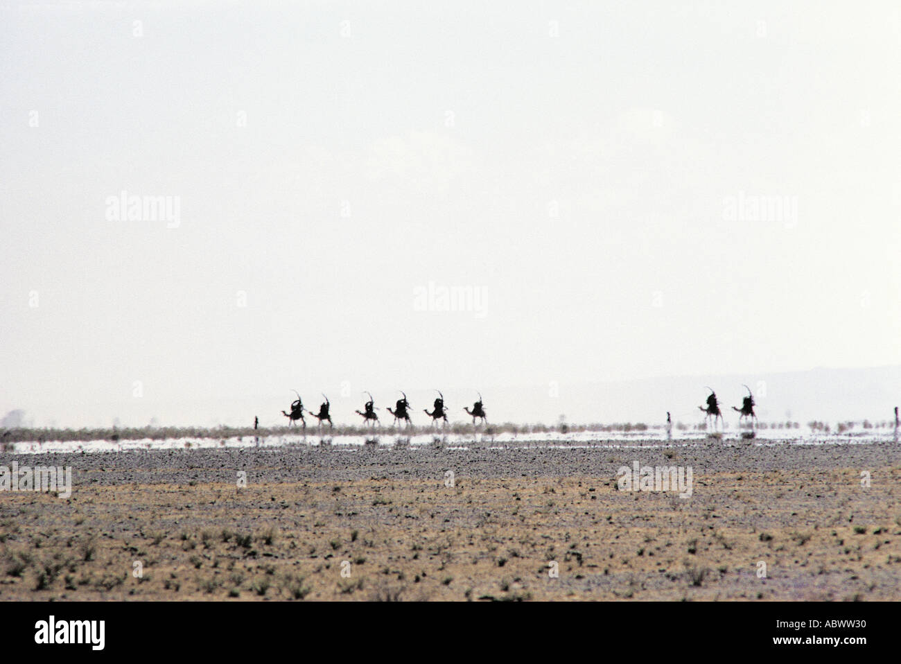 Gabbra people with their camels crossing the Charlbi Desert Stock Photo