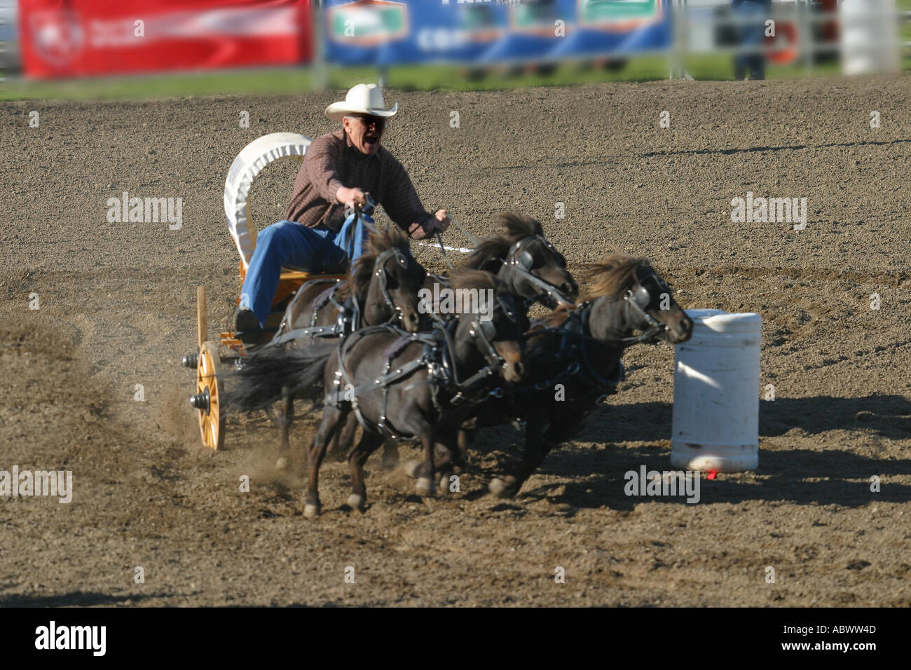 Mini Chucks Alberta Canada Chuck wagon race racing Stock Photo - Alamy