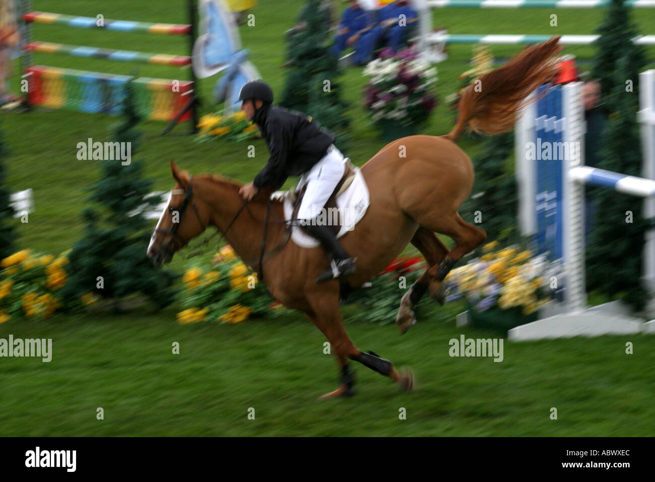 Equestrian show jumping at Calgary Alberta Canada Stock Photo Alamy