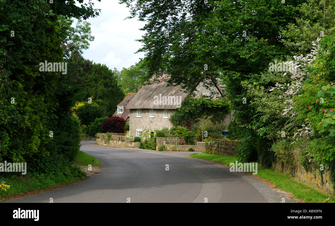 ASHMORE VILLAGE. DORSET. ENGLAND. UK Stock Photo Alamy