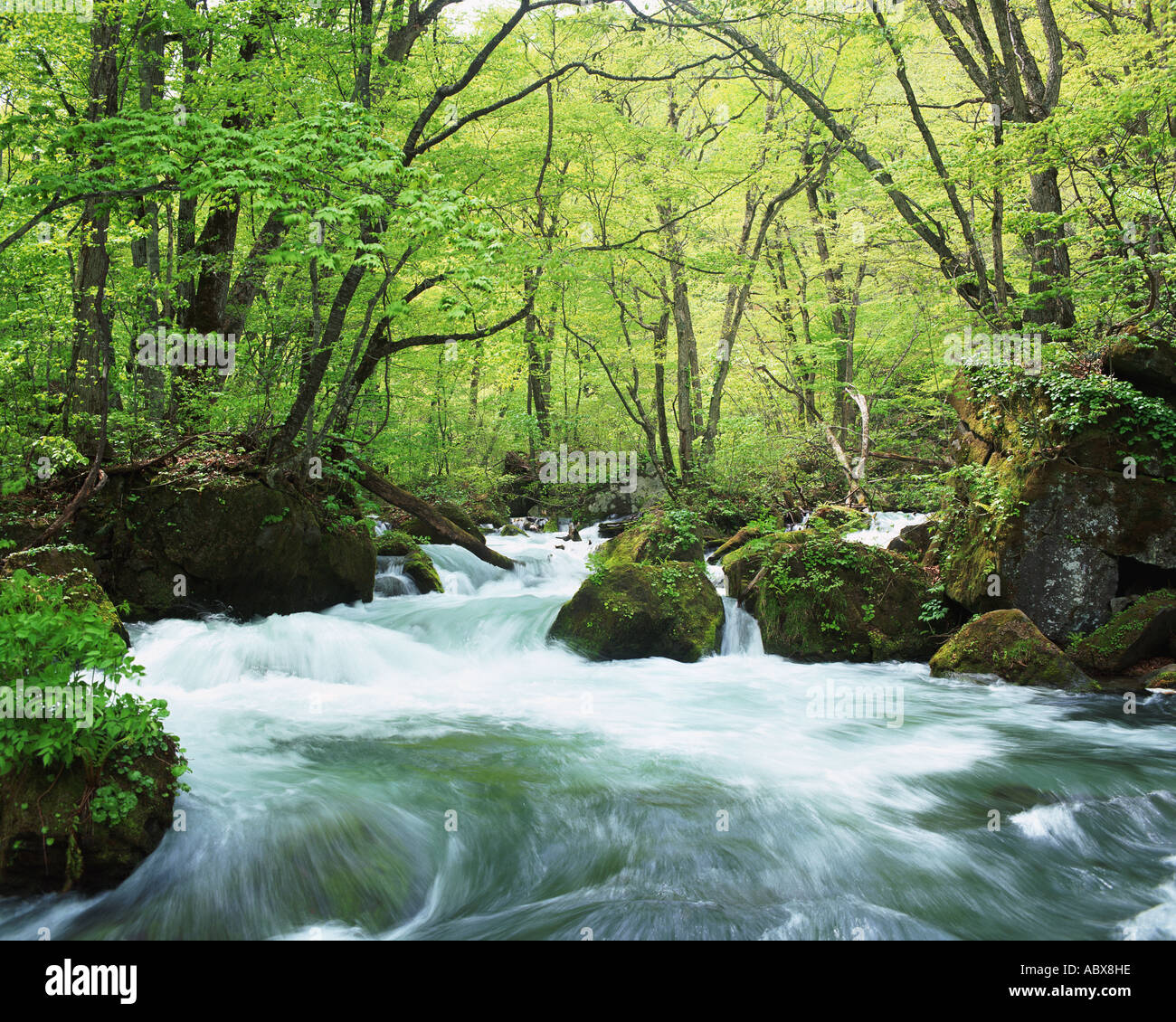 Stream into rock hi-res stock photography and images - Alamy