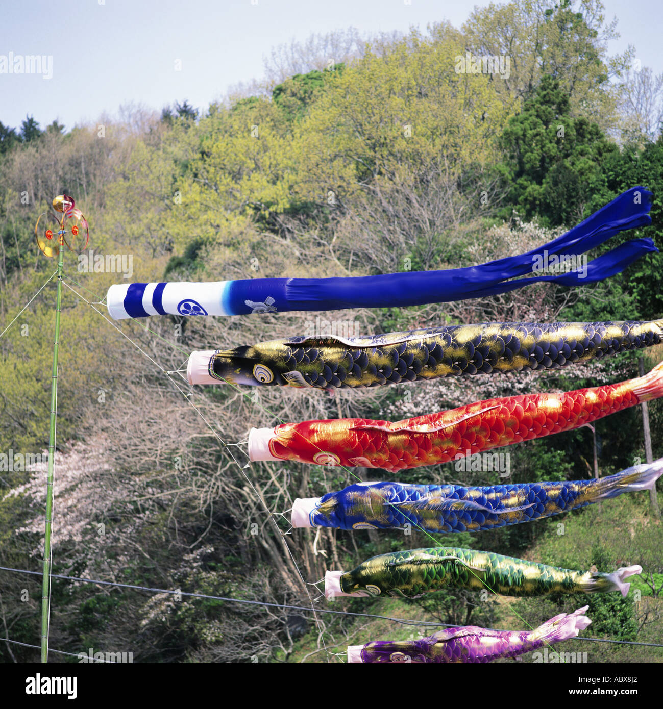 Windsocks with trees in background Stock Photo - Alamy