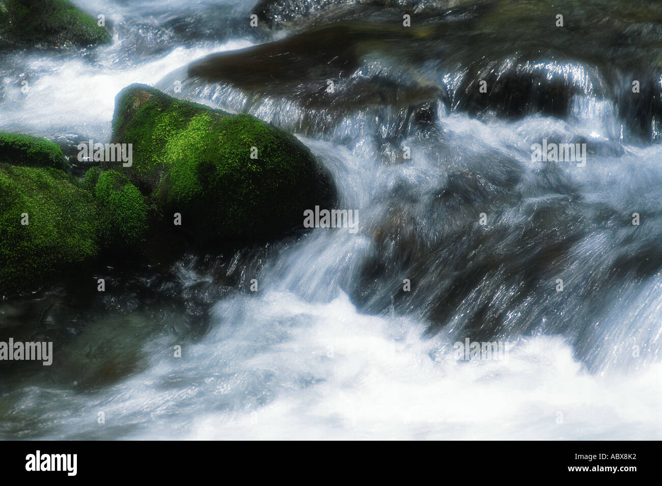 Stream close up Stock Photo