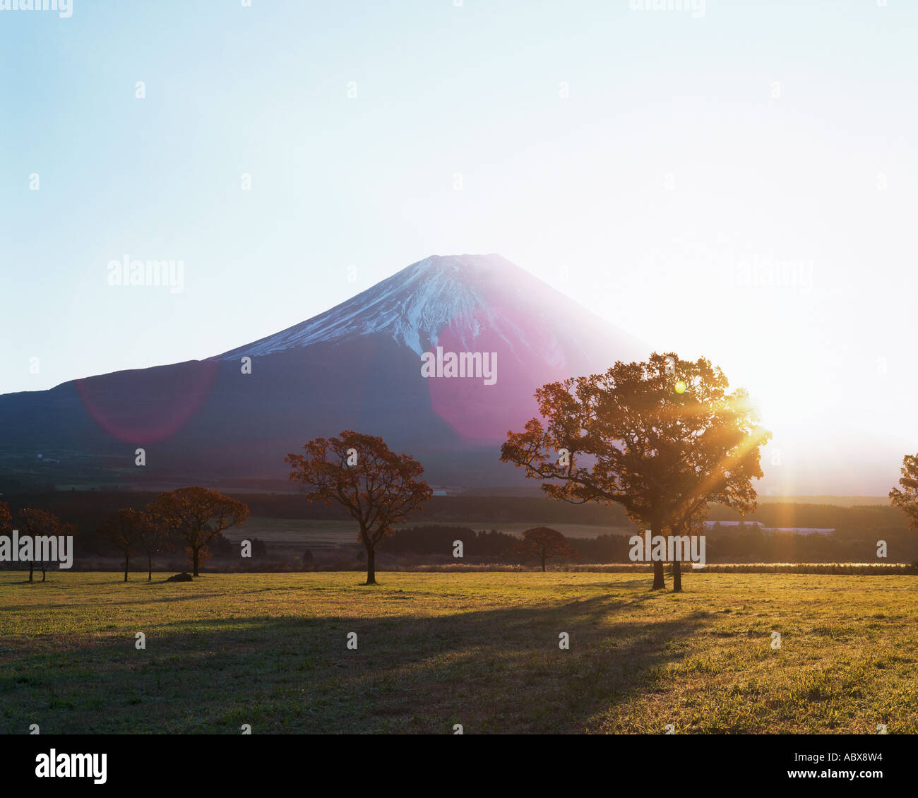 Mt Fuji Stock Photo