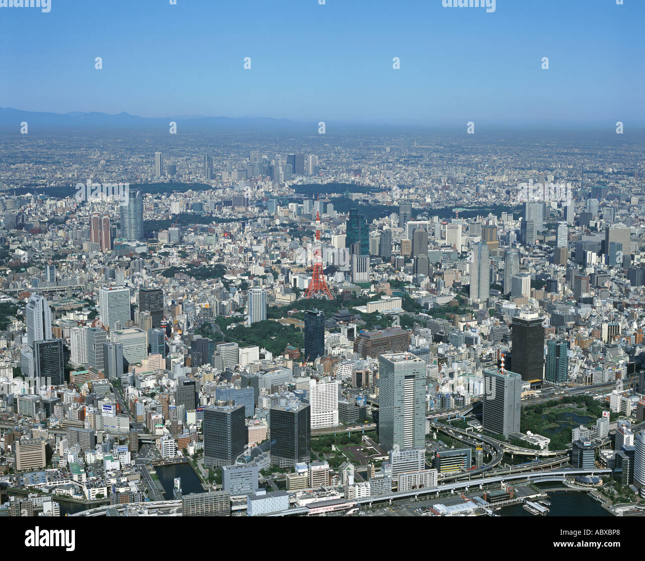 My Image 3