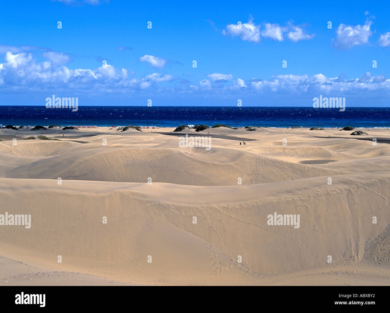 Spanien Spain Spanish Kanaren Kanarische Inseln Gran Canaria Canary  Maspalomas Duene Duenen Dune Dunes Stock Photo - Alamy