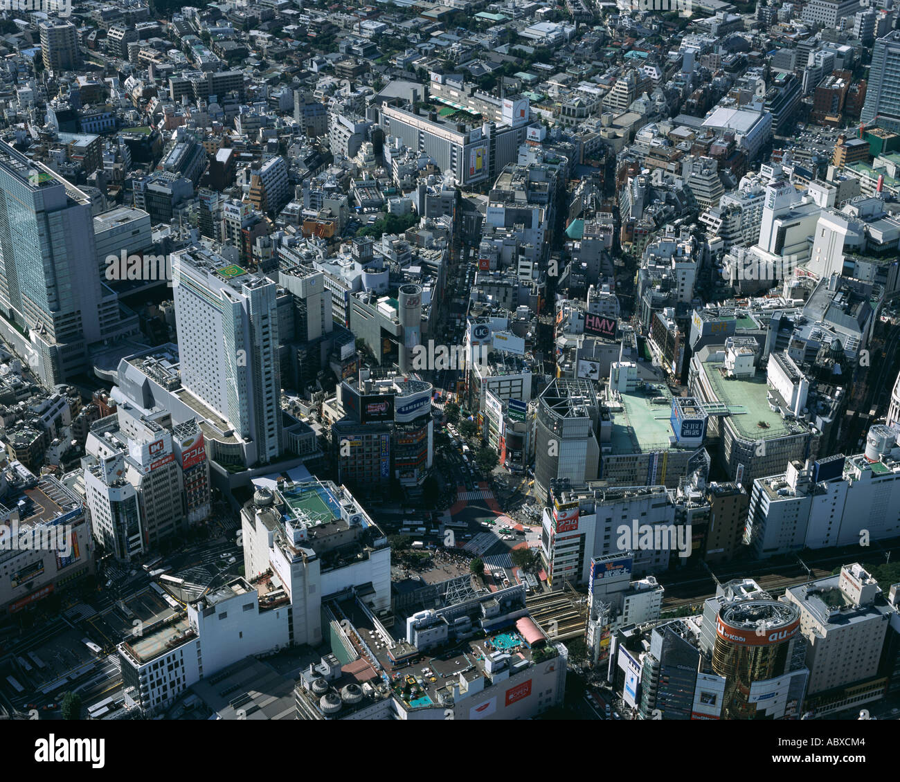 My Image 11