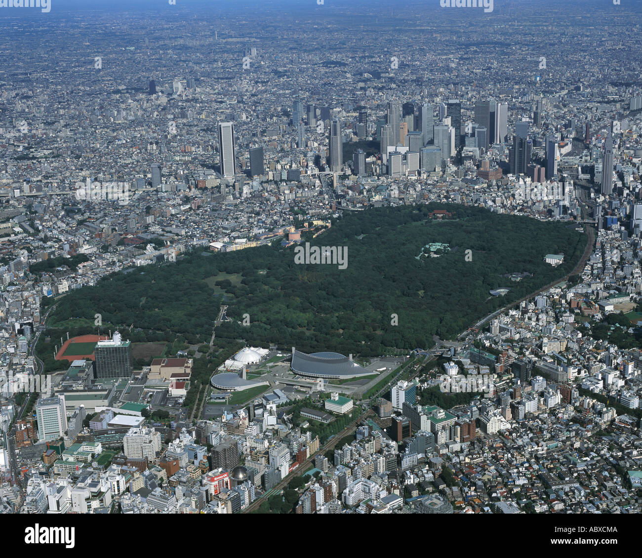 My Image 30