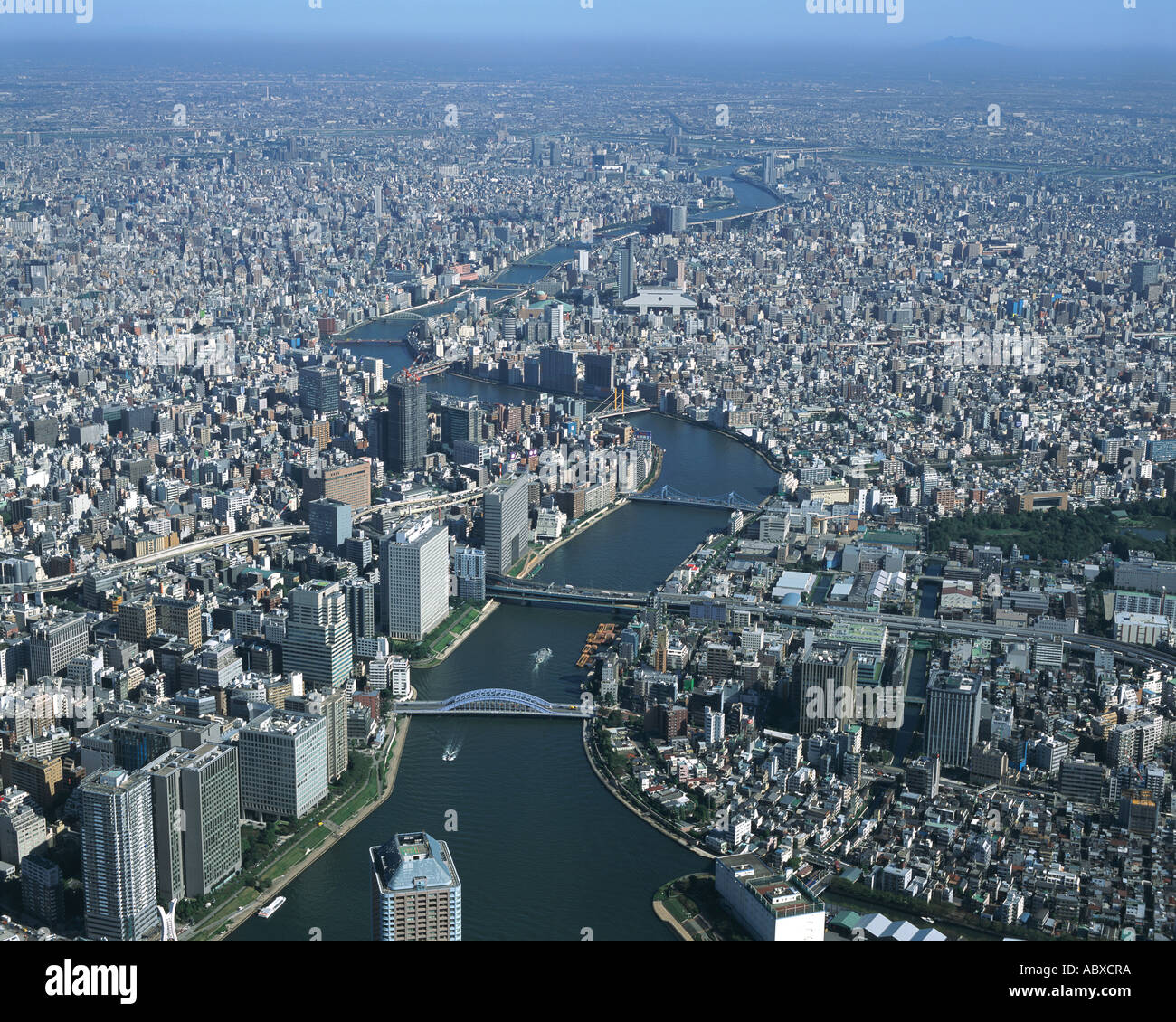 My Image 6
