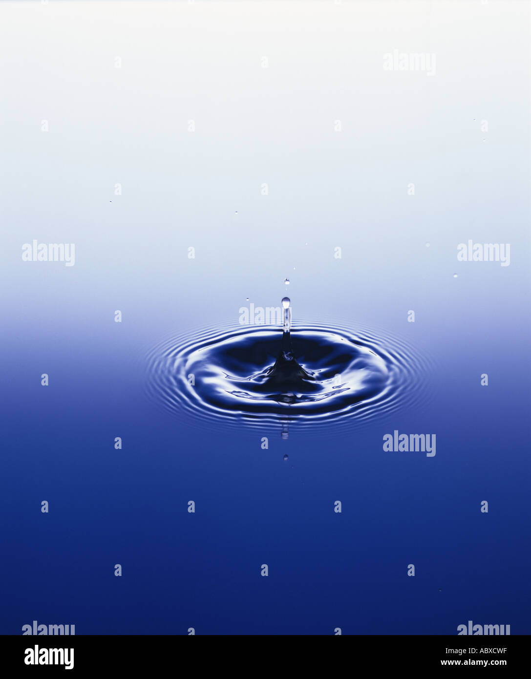 Water droplet falling on surface of water Stock Photo Alamy