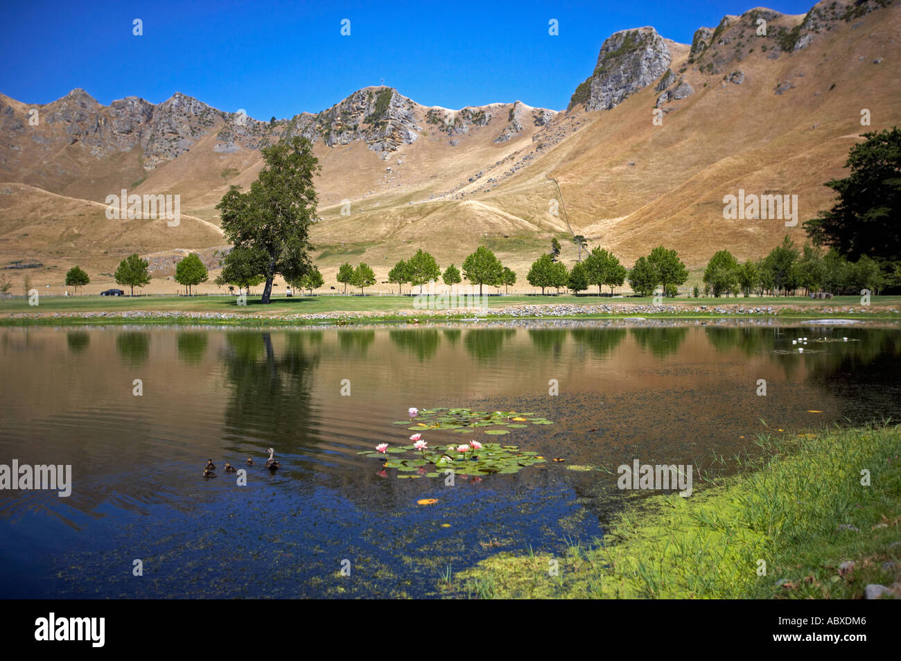 Craggy range vineyard hires stock photography and images Alamy