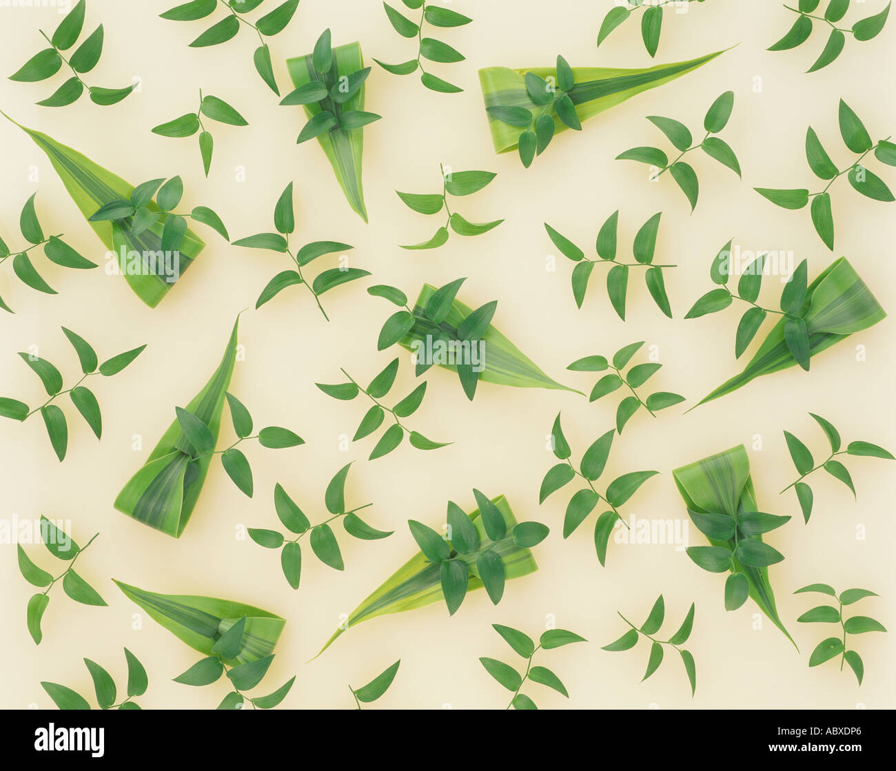 Various green leaves Stock Photo