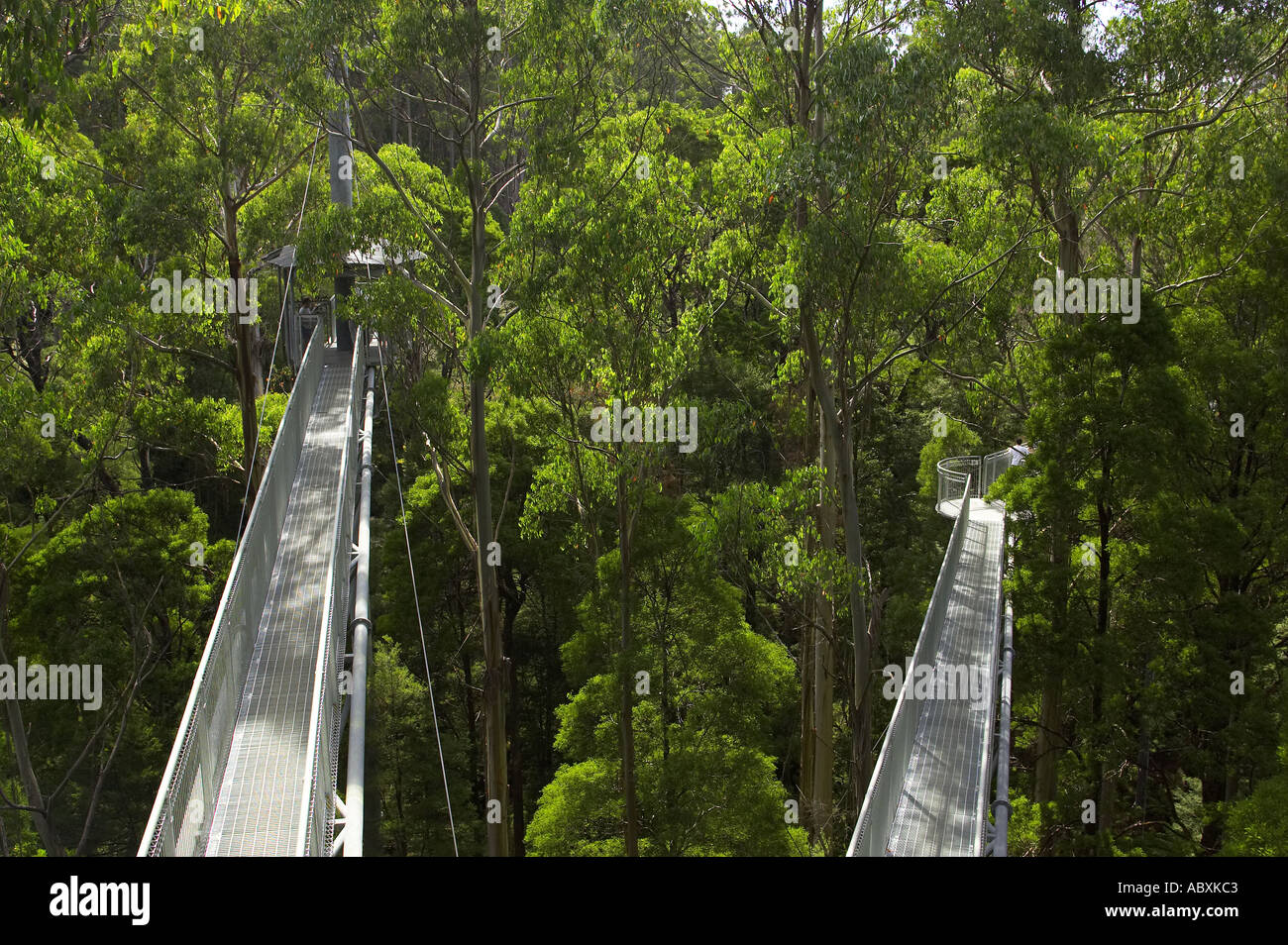 Otway ranges