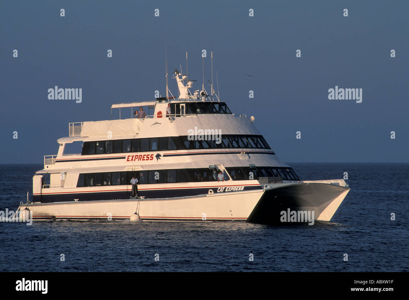 Catalina Ferry enroute to Avalon in the San Pedro Channel Catalina