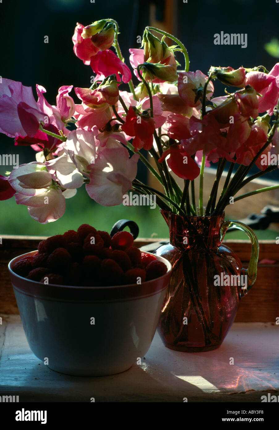 Sweet Pea Raspberry English sweetpeas hi-res stock photography and images - Alamy