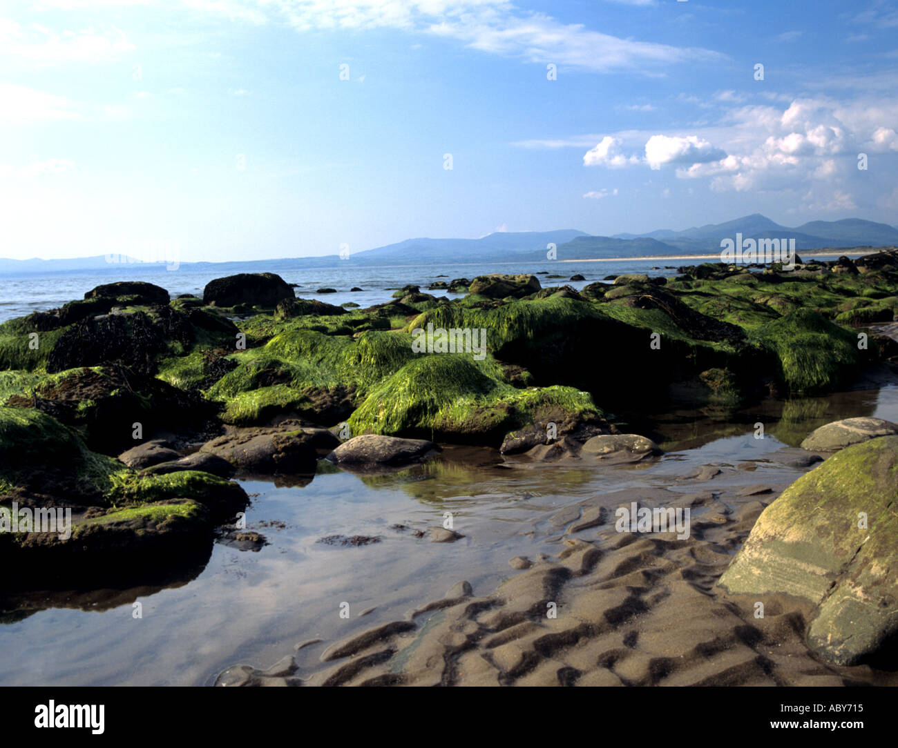 LLANDANWG GWYNEDD NORTH WALES UK June The waves have left patterns on this beach in Tremadog Bay Stock Photo