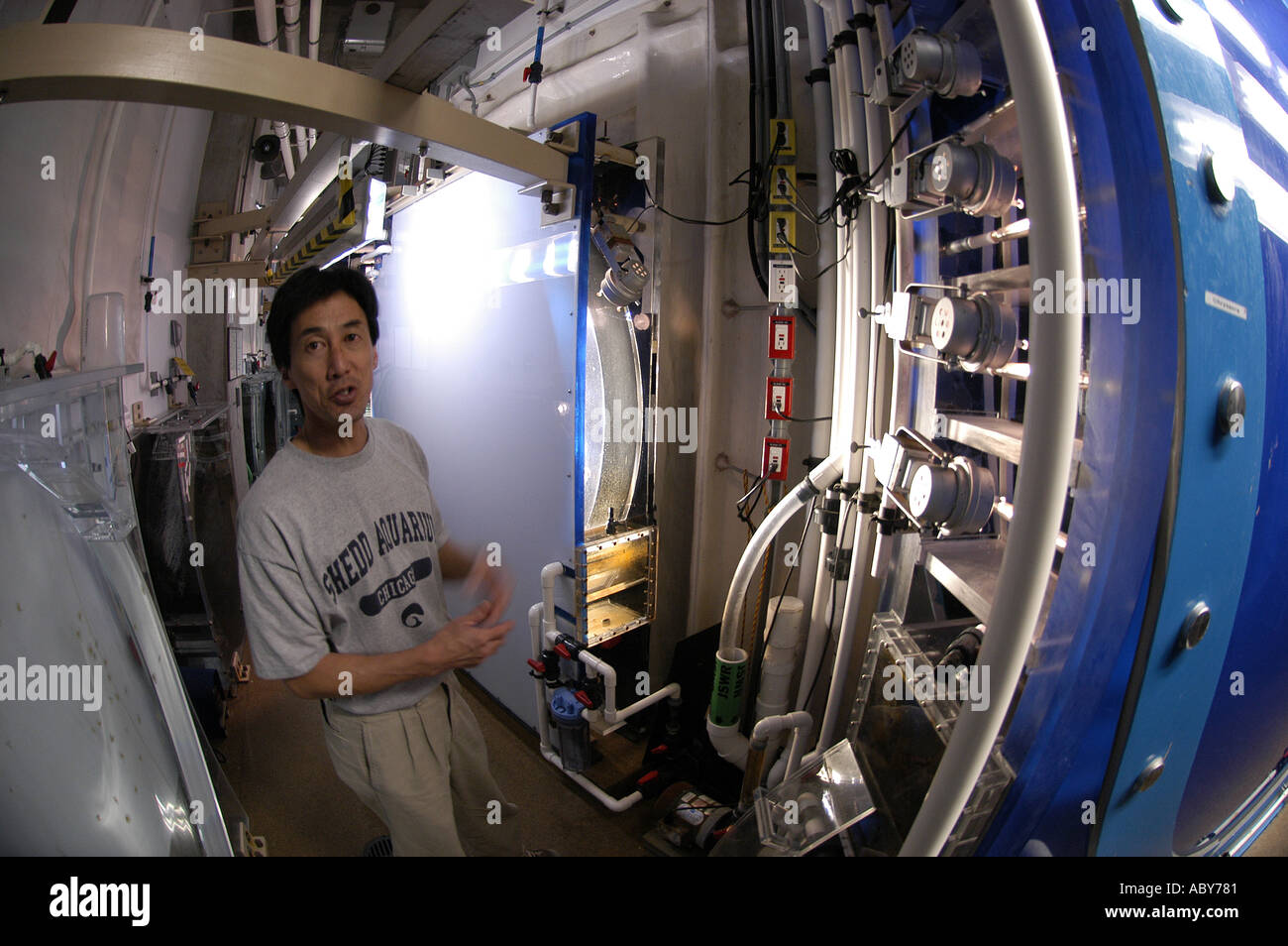 Behind the scenes senior aquarist that makes an aquarium happen tank