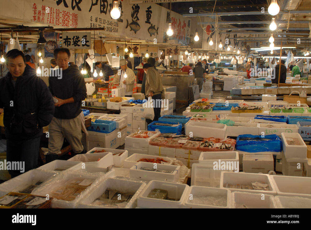 Fish market at Tokyo Central Wholesale Markets, Tsukiji Stock Photo - Alamy