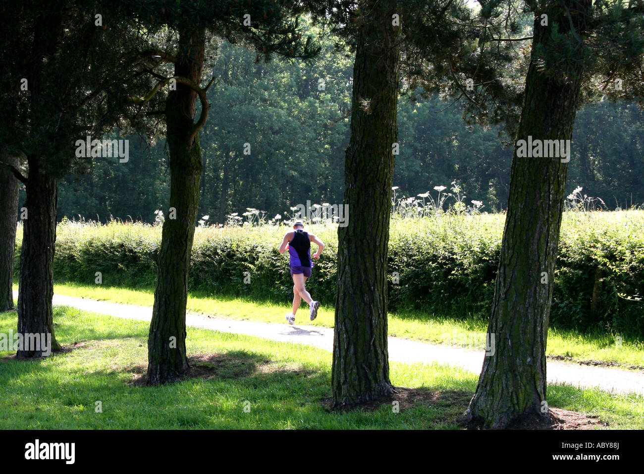 Man running by trees Stock Photo - Alamy