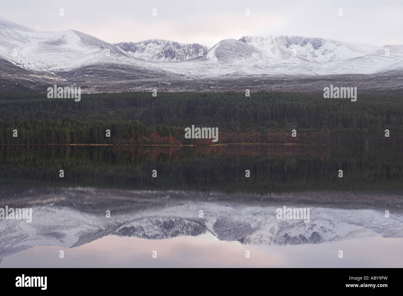 The Cairngorms across Loch Morlich at dusk, in the Scottish Highlands. Stock Photo