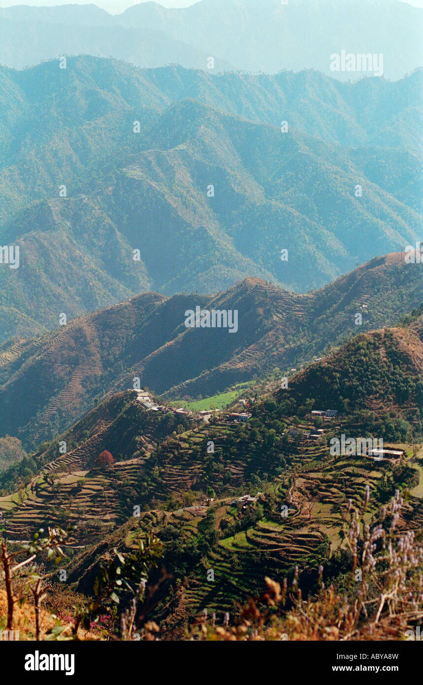 Looking into the Himalayas, India Stock Photo