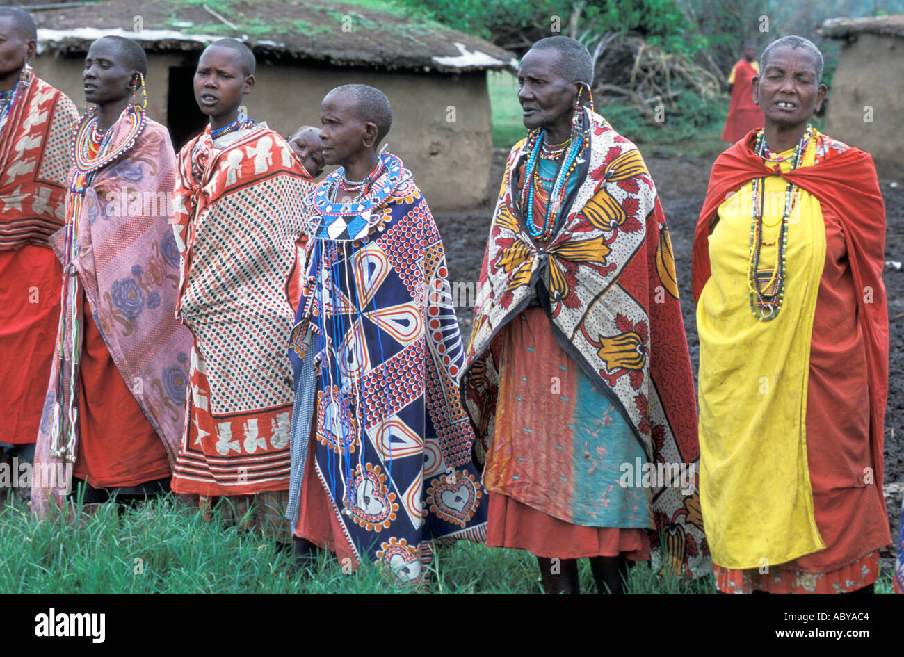 AFRICA KENYA Masai Mara National Reserve Masai women in traditional kanga cloths and beaded jewelry sing Stock Photo