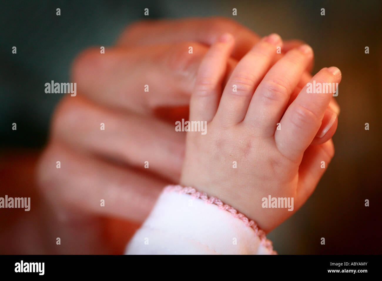 Closeup detail of the fragile hand and wrist of a newborn baby with tiny delicate fingers nails wrapped around parents finger Stock Photo