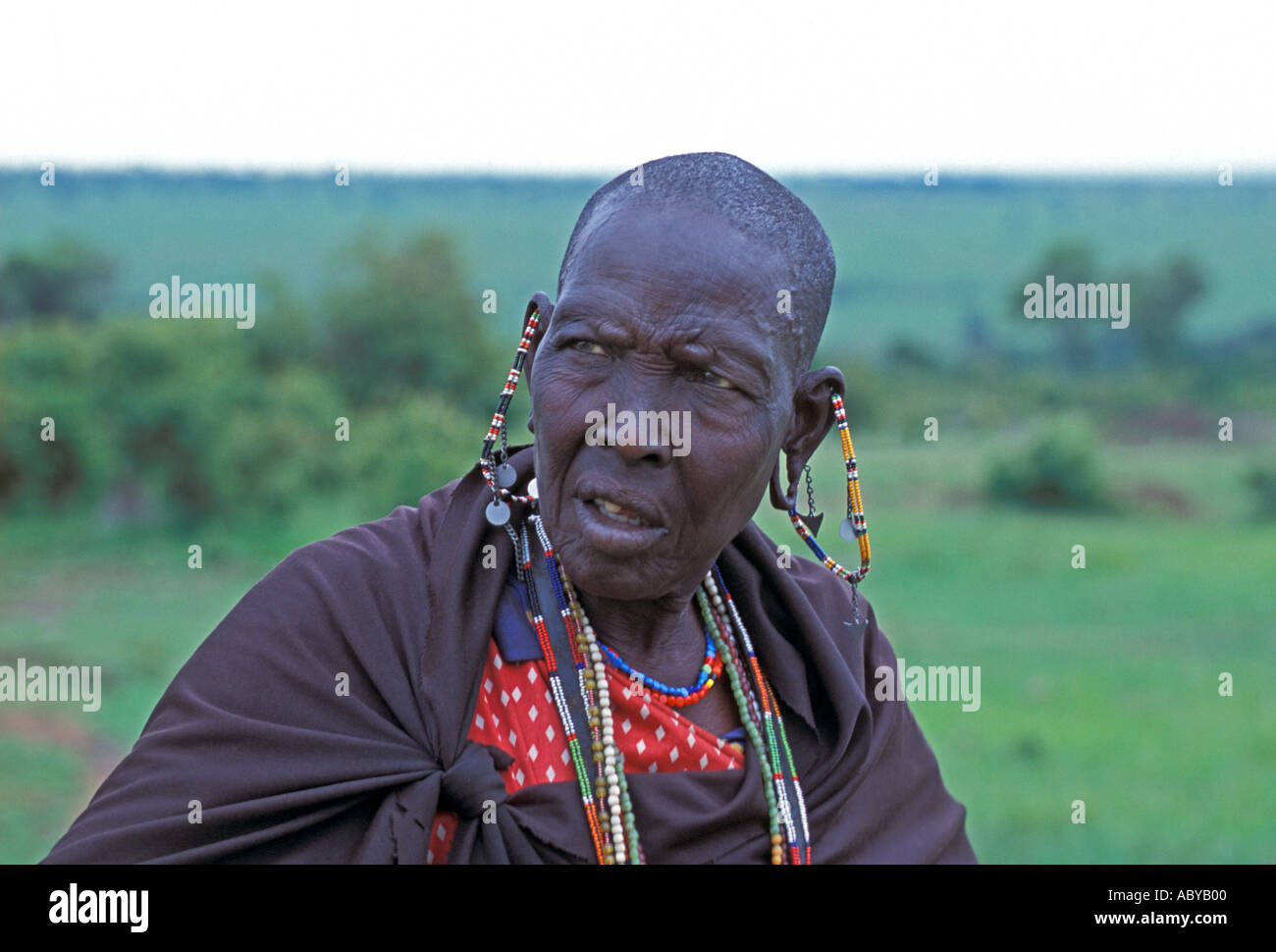 AFRICA KENYA Masai Mara National Reserve Portrait of Masai woman with traditional pierced ears and beads Stock Photo