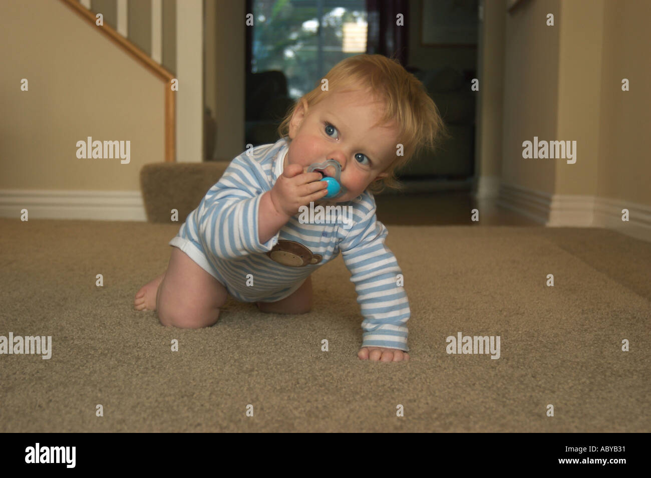 crawling baby with pacifier Stock Photo - Alamy